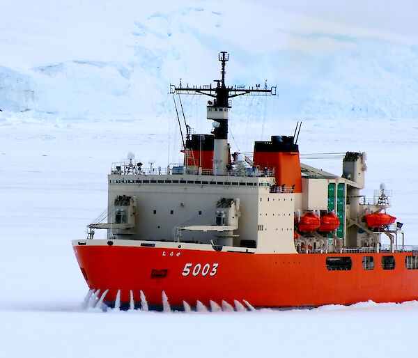 The Japanese icebreaker, Shirase, in the ice.