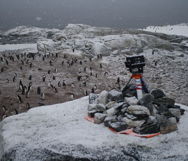 An automated camera sits on top of rocks overlooking an Adelie penguin colony near Australia’s Casey station.