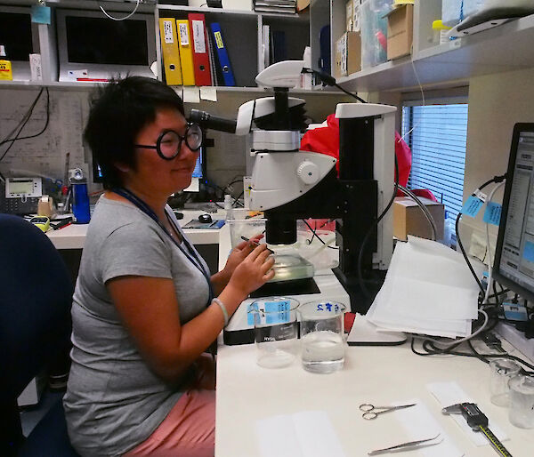 Krill researcher, Molly Jia, sitting at the microscope