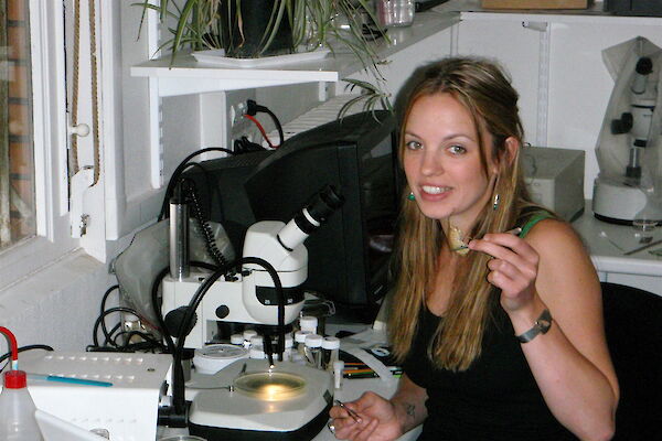 Dr Helena Baird studying amphipods under the microscope.
