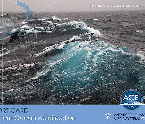 Acidification report card cover page