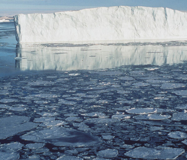 Iceberg near Davis