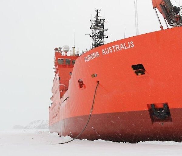 Ship stationary in 1.6 metres of solid ice