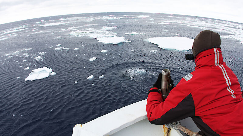 Scientists at work spotting whales in the Southern Ocean