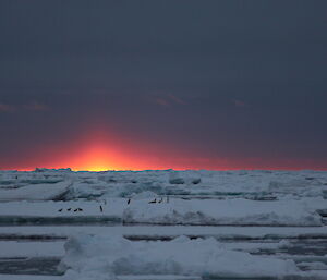 Sunset over the pack ice with last of the sun about to dip below horizon. Penguins on ice floe