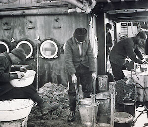 Men peer into buckets and nets at tiny fish and animals hauled in from the sea