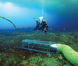 A carbon dioxide enrichment chamber on the sea floor of O'Brien Bay near Casey station.