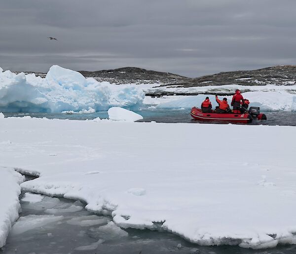 Four expeditioners in a dinghy on the icy water.  One expeditioner is waving to a bird in the sky.