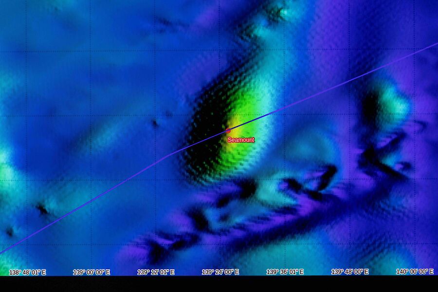 Echosounder output showing a blue seafloor with a higher green mound in the middle