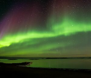 A sunning green aurora australis over the shore and bay.