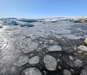 Bubbles of ice starting to form pancake ice