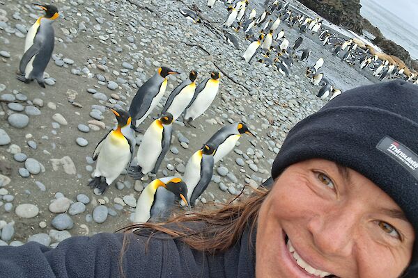 A smiling woman wearing a beanie takes a selfie with a beach full of black, white and gold King Penguins.