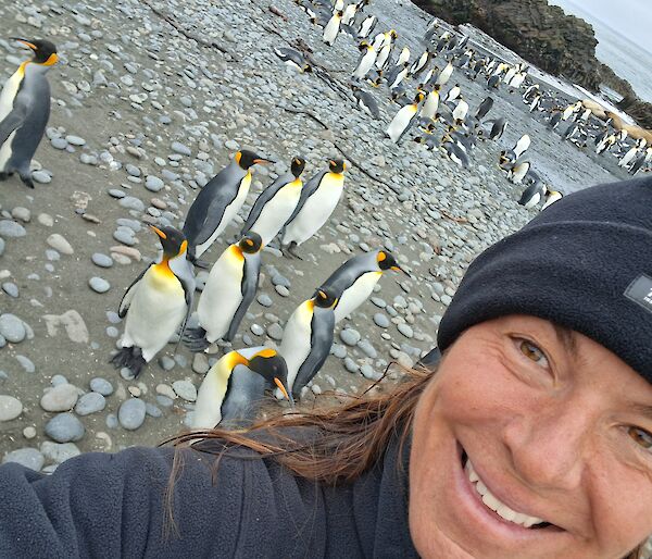 A smiling woman wearing a beanie takes a selfie with a beach full of black, white and gold King Penguins.
