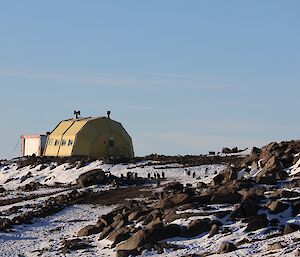 Penguins walking across ice and rocky ground in the distance with a building in the background