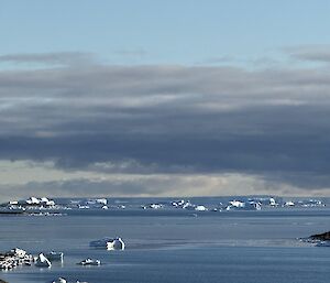 A calm day, small icebergs are scattered in a smooth ocean. On the horizon are larger icebergs shown in relief against a wall of iceberg that stretched beyond the photo