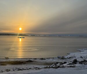A snowy beach, with elephant seals on it, alongside very still ocean with sea ice beginning to form that is in the shape of a swirl with an orange sun setting in the background