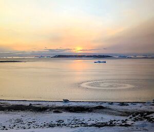 The sun sets, orange behind a calm sea. In the ocean is a snail-like swirl, created by ice beginning to form on top/
