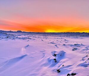 An expanse of drifted snow is purple in the reflection of a sunset which stretches bright orange above the horizon