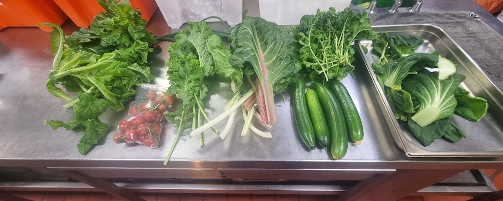 A metal kitchen bench with cucumbers, parsley and bok choy