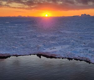 A sunset photo from the Nuyina, taken with sea ice in the background and small group of penguins at the sea ice edge.