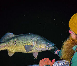 A man wearing a mustard-coloured beanie is holding a very large fish by the mouth in the dark water