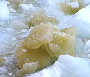 Overturned sea ice coloured a yellow-green from the growth of ice algae