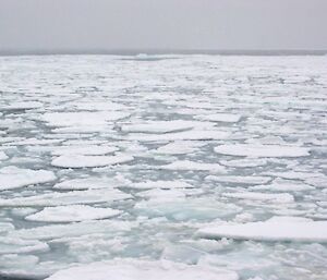 Sea ice floes stretching to a grey horizon