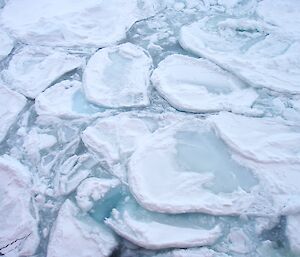 Snow-covered sea ice floes, some with water pooling on their surface and causing them to melt.
