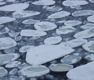 Close up view of sea ice floes interspersed with ocean water and slush. Some of the floes have seawater pooling on top of them.