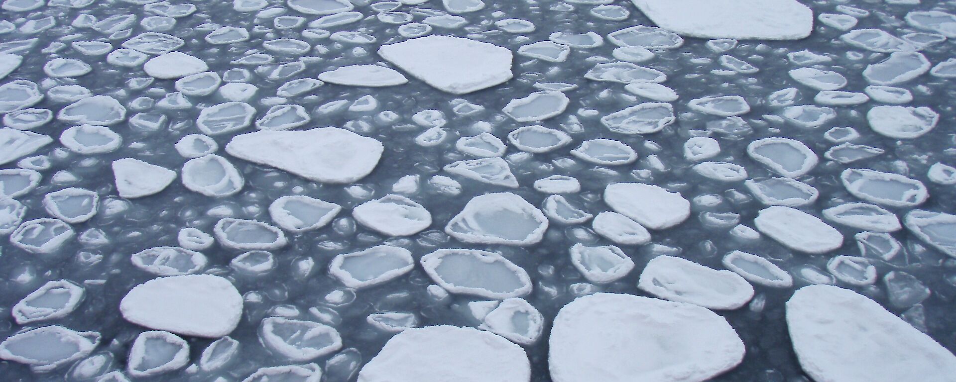 Sea-ice floes separated by open water and slush. Some floes have seawater ponding on their surface.