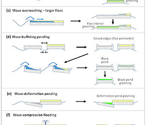 A schematic showing the multiple ways ocean waves can reduce the reflectivity of sea ice and its snow cover – by washing over and pooling seawater on the surface, deforming the ice to create surface seawater ponds, grinding ice floes together to create a slush, and by ‘greening’ and further darkening the ice.