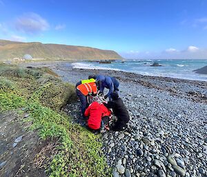 People standing around the orange dummy on a rocky beach