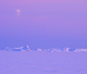 Distant bergs surrounded by smooth sea ice, with a half-moon in the purple sky