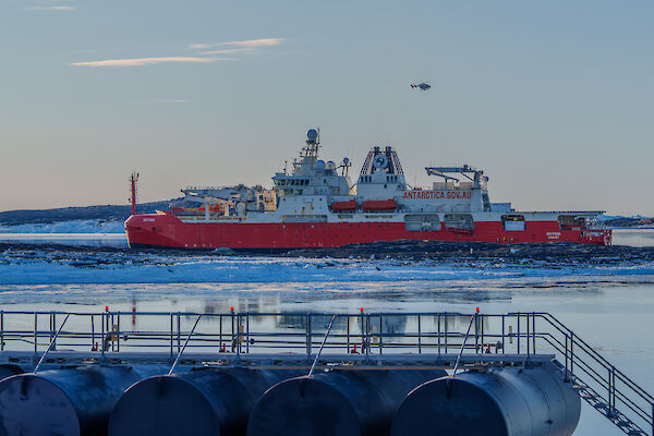Ship RSV Nuyina in the water in front of Mawson Station, with helicopter overhead and Mawson's bulk fuel farm in immediate foreground