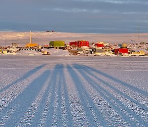 a photo taken on the sea ice at sunset, showing expeditioner shadows on the ice with Mawson Station in the background