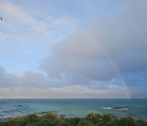 A rainbow arcs across the sky and down to the horizon at the ocean's surface. A bird is visible in the top left of the photo.
