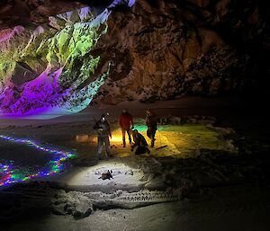 A group of expeditioners on the ice at night, surrounded by coloured lights