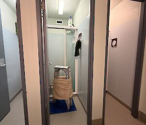 A ladder wearing a towel, located in front of a shower in one of the station's bathrooms