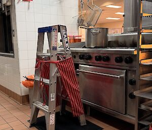 A ladder wearing an apron, in front of the station's kitchen stove, cooking food in a pot