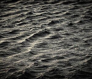 Small waves on the surface of the ocean.