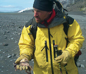 An expeditioner stands on a rocky beach