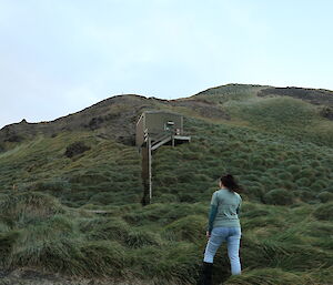 A woman at the base of a hill looking up towards a hut.