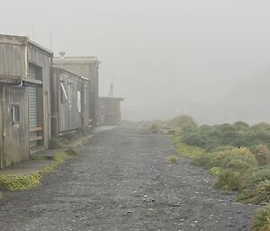 Mist shrouding wooden station buildings.