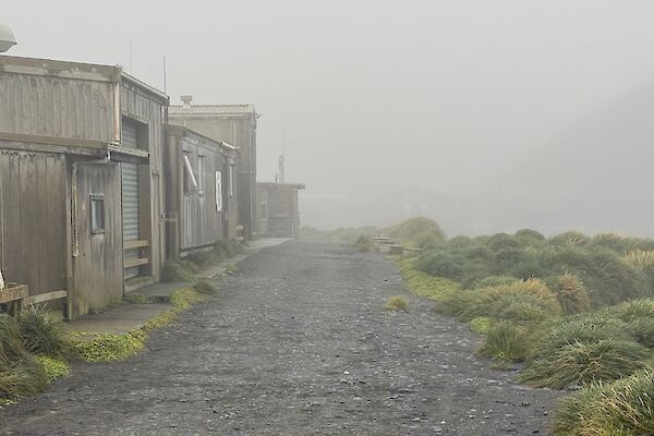 Mist shrouding wooden station buildings.