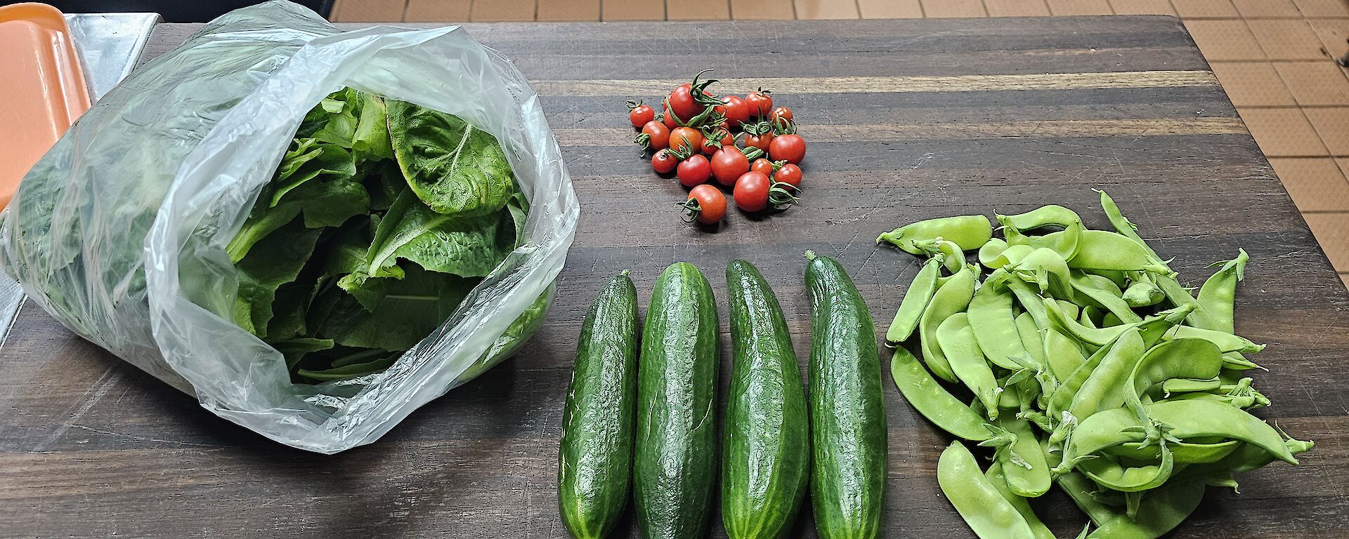 A picture of lettuce, cucumbers, red tomatoes and snow peas on a chopping board in the kitchen