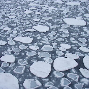 White sea-ice floes sitting on the surface of a dark ocean.