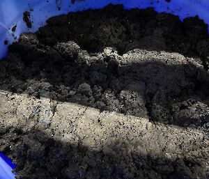 A brown mass sits inside a large blue drum
