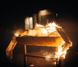 The albatross model is on fire in a raised metal bin.