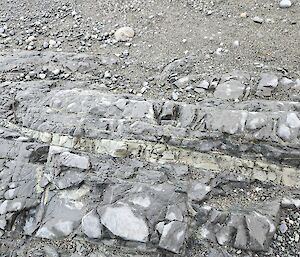 A rock shelf showing sedimentary layers.