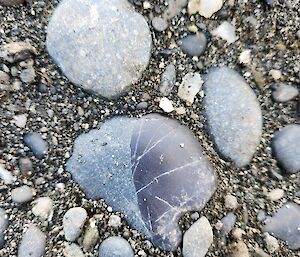 A rock that's half grey cloudy stone and half shiny black glass.